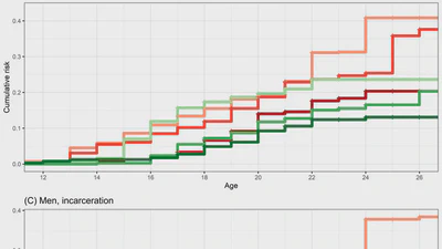 Early life patterns of criminal legal system involvement: Inequalities by race/ethnicity, gender, and parental education featured image