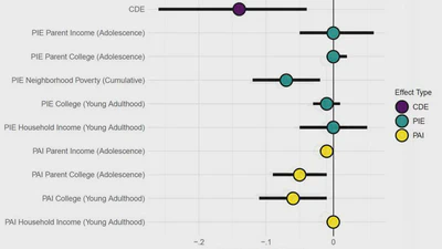 Structural racism and quantitative causal inference: A life course mediation framework for decomposing racial health disparities featured image