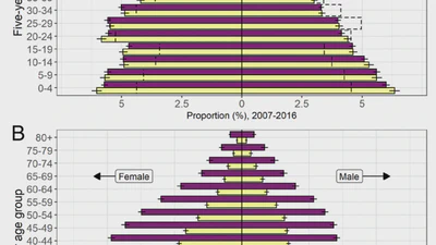 A comprehensive demographic profile of the US evicted population featured image